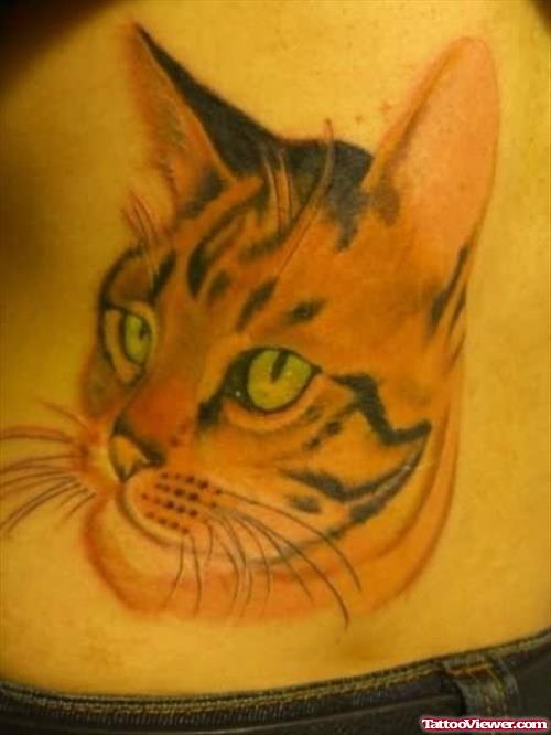 Cat Face Tattoos
