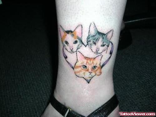 Three Kitten Tattoo