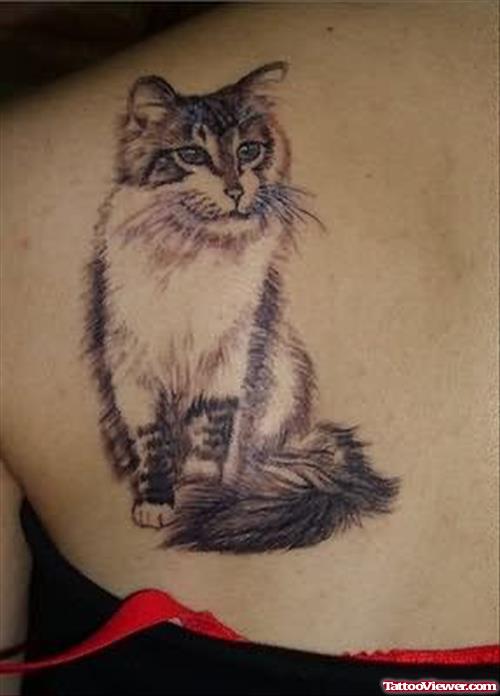Cat Tattoo On Back Shoulder