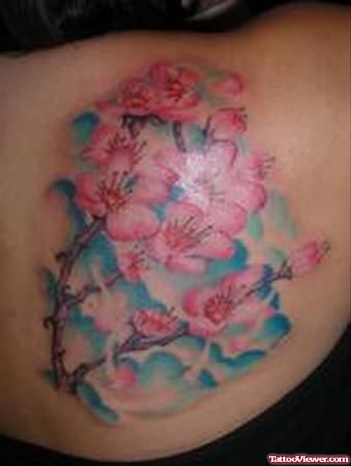 Cherry Blossoms Tattoo On Upper Shoulder