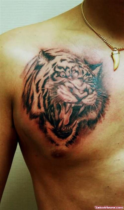 Grey Ink Angry Tiger Chest Tattoo