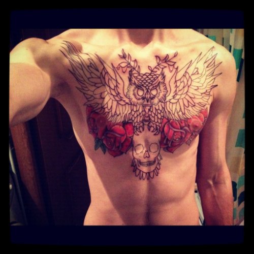 Red Rose Flowers Skull And Outline Open Wings Owl Chest Tattoo