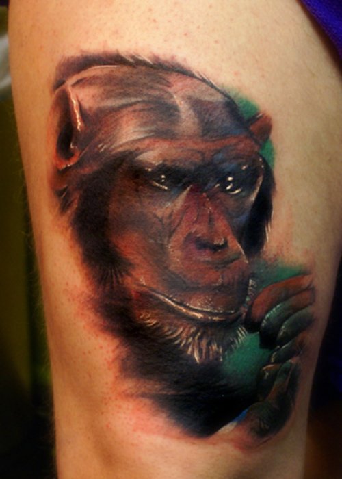 Colored Chimpanzee Tattoo On Arm