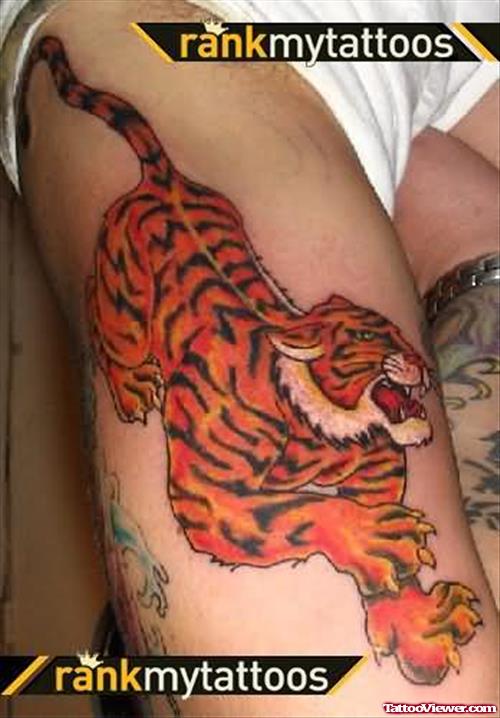Chinese Tiger Tattoos