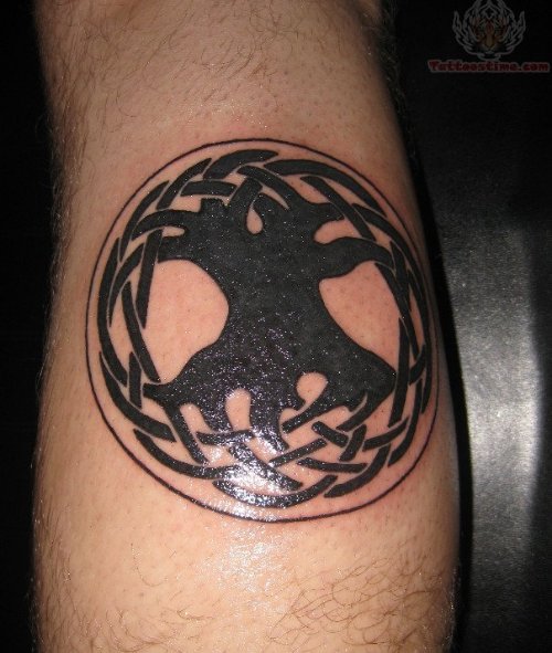 Celtic Tree Circle Tattoo