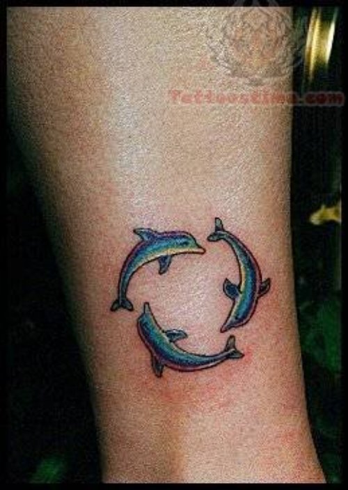 Dolphins Circle Tattoo