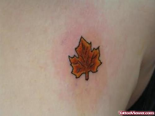 Lovely Canadian Leave Tattoo On Back