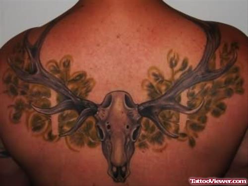 Deer Skull Tattoo On Back