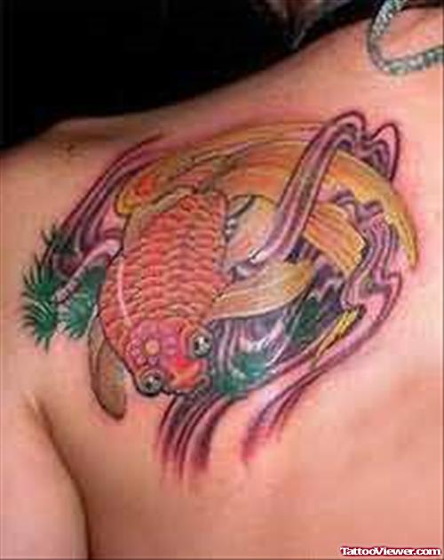 Koi Fish Tattoo On Back