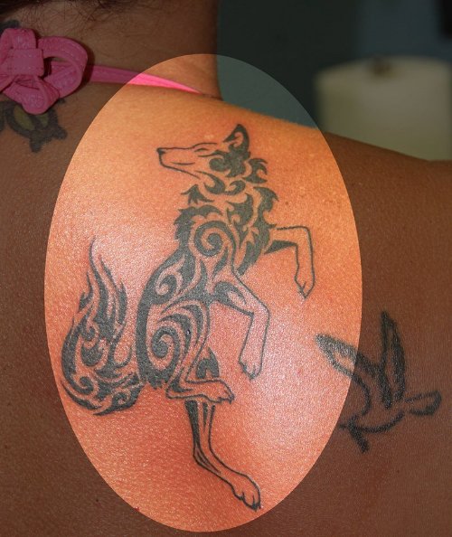 Coyote Tattoo On Man Back Body