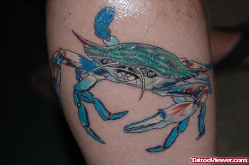 Blue Crab Tattoo On Leg