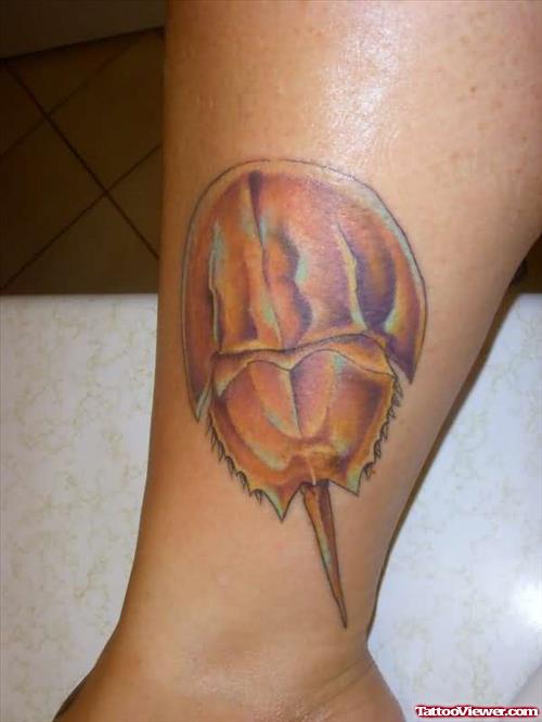 Horseshoe Crab Tattoo On Wrist