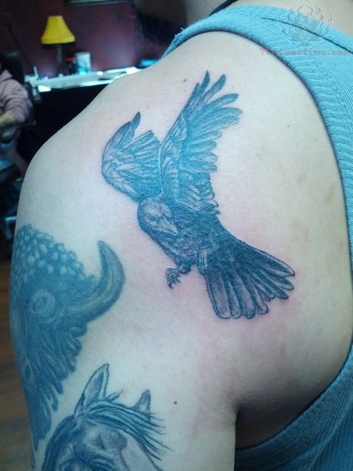 Crow Tattoo On Back Shoulder