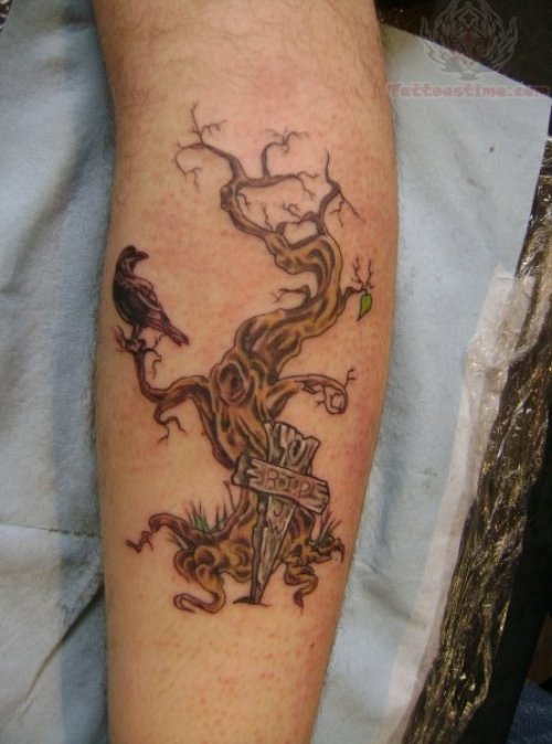 Crow And Tree Tattoo On Arm