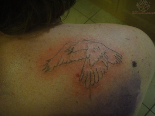 Flying Crow Outline Tattoo On Back