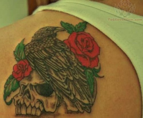 Red Roses And Crow Skull Tattoo On Back Shoulder