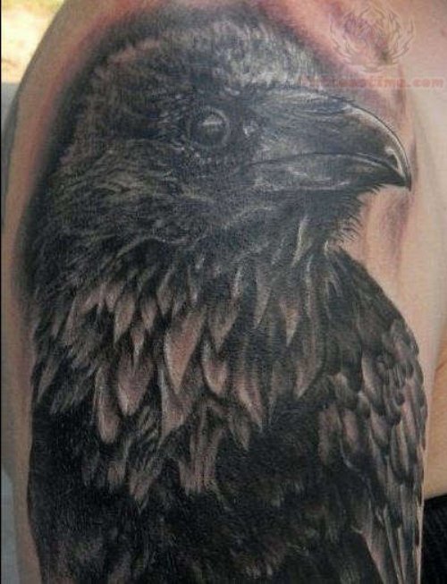 Crow Head Tattoo On Bicep