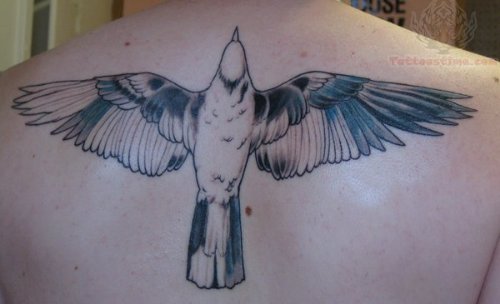 Crow Tattoo On Back In Process