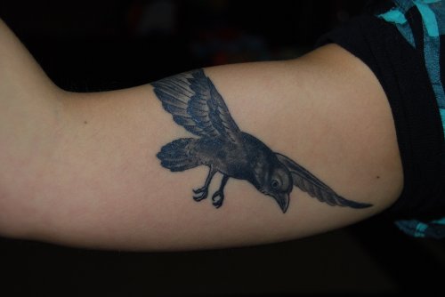 Flying Crow Tattoo On Muscle