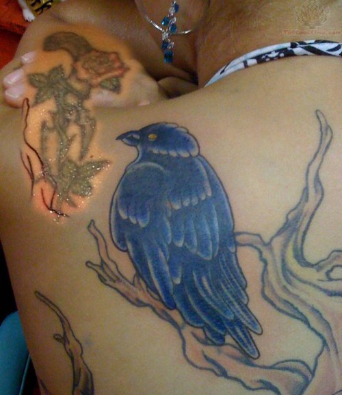 Color Crow Tattoo On Back