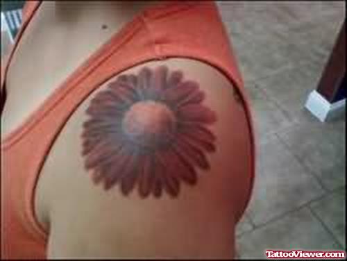 Daisy Flower Tattoo On Upper Shoulder