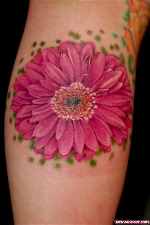 Daisy Gerber Tattoo Designs