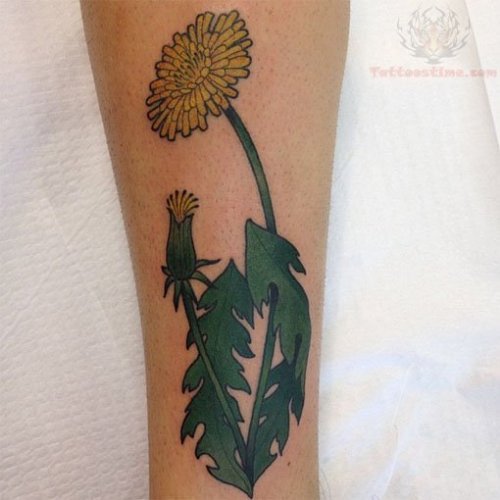 Dandelion Leave And Flower Tattoo