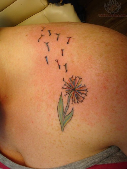 Dandelion Color Ink Tattoo On Girl Collarbone