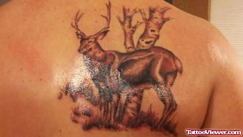 Deer And Tree Tattoo