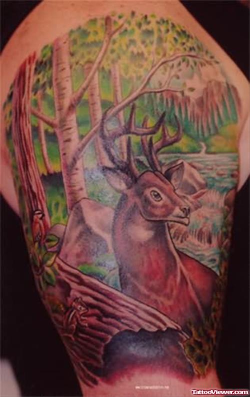 Unique Wildlife Tattoos Tattoos