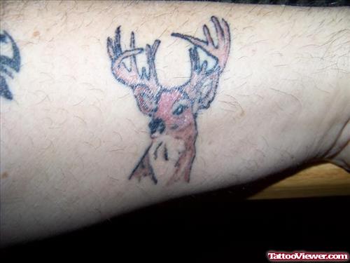 Small Deer Tattoo on Wrist