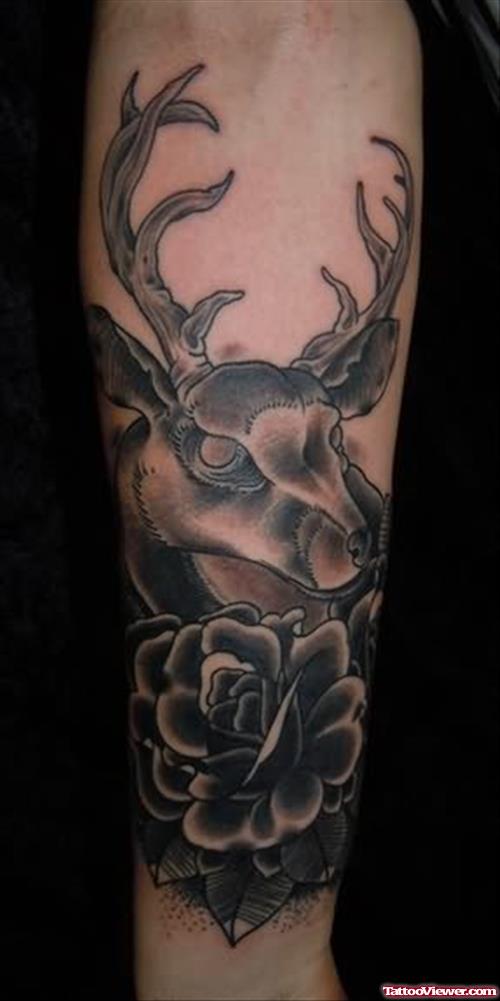 Looking For Unique Deer Tattoo