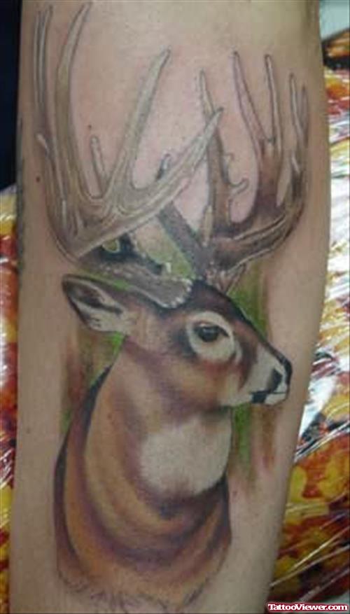 Deer Tattoo Picture