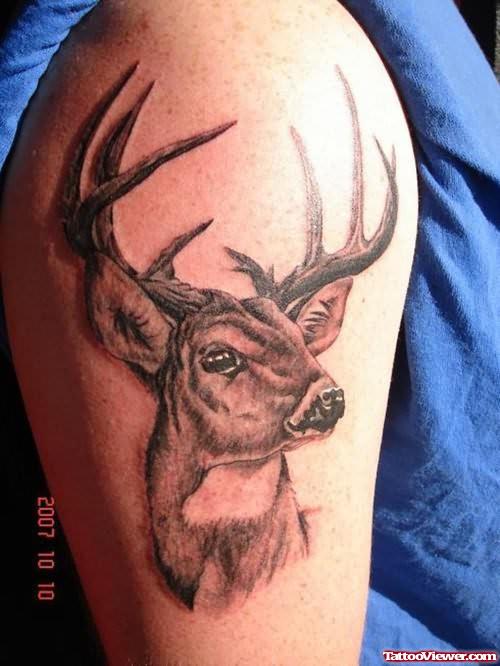 Brown Deer Tattoo On Shoulder