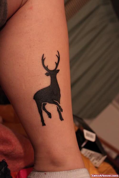 Sika Deer Tattoo On Leg