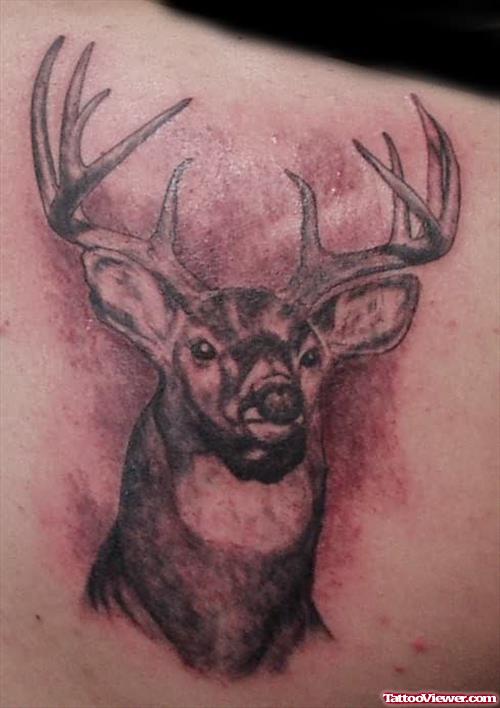 Nice Deer Tattoo
