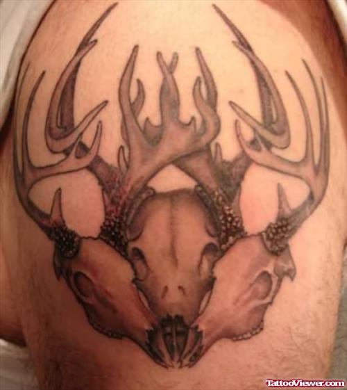 More Deer Skull Tattoos