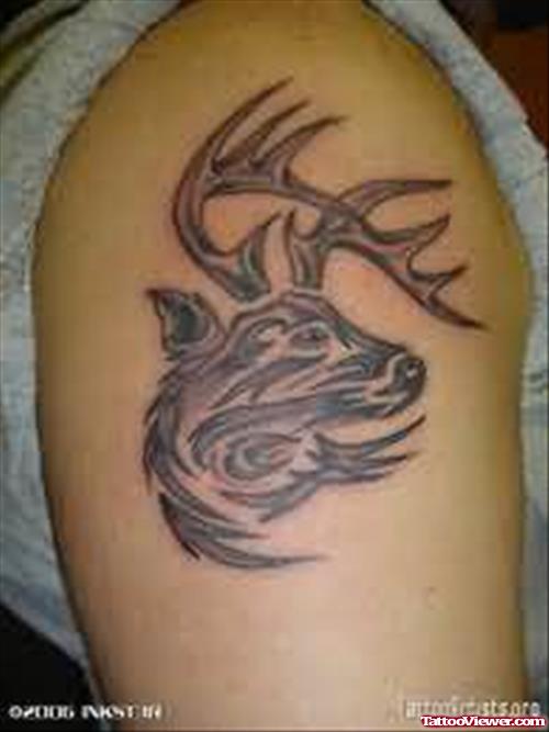 Deer Tattoos Design For Men