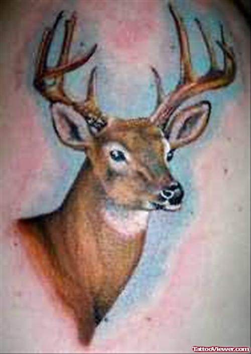 Deer Tattoo Posted By Admin