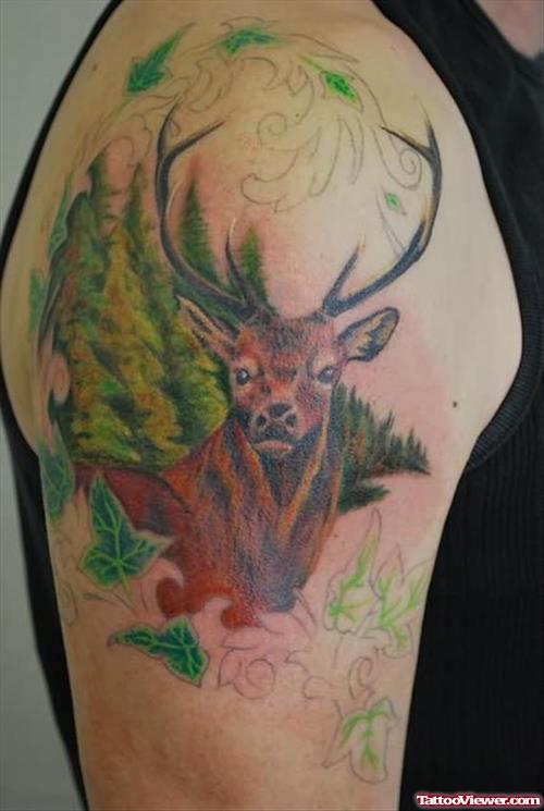 Angry Deer Face Tattoo On Shoulder
