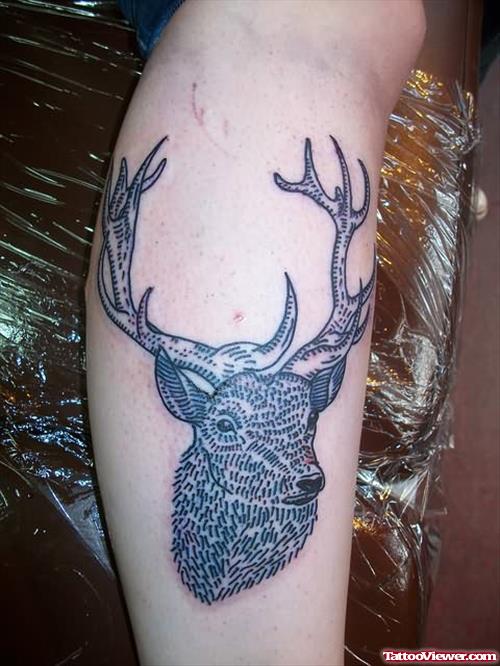 Latest Deer Tattoo