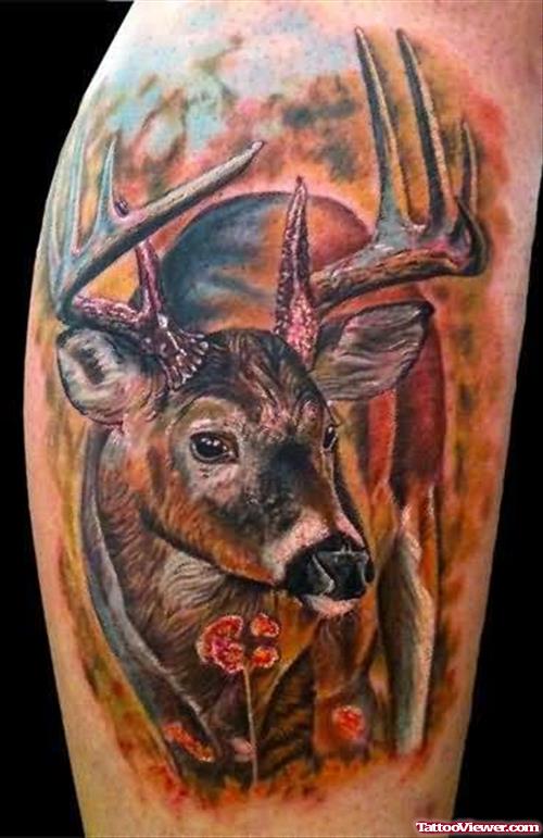 Full Color Deer Tattoo Design