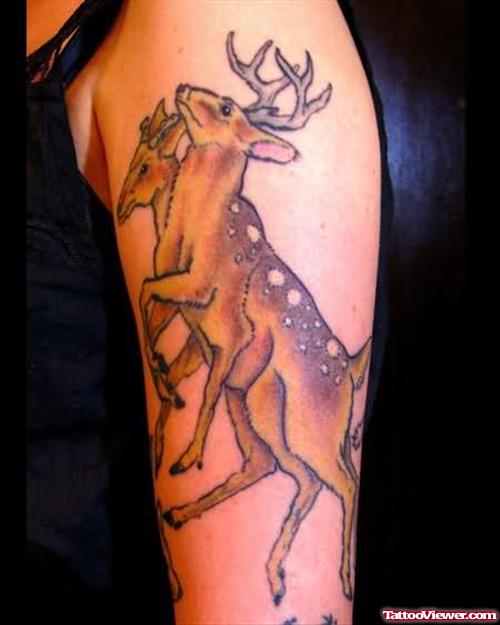 Deer - Animal Tattoo