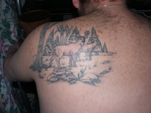 Deer Couple Tattoo On Back Shoulder
