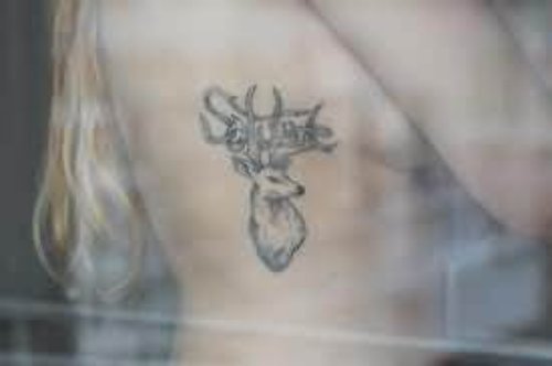 Buck Deer Tattoo On Rib