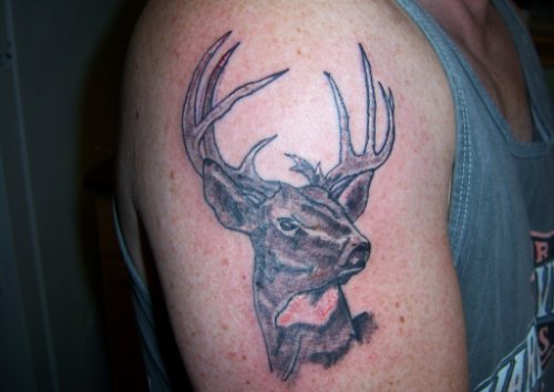 Grey Deer Tattoo On Right Shoulder