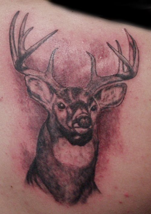 Right Back Shoulder Deer Tattoo