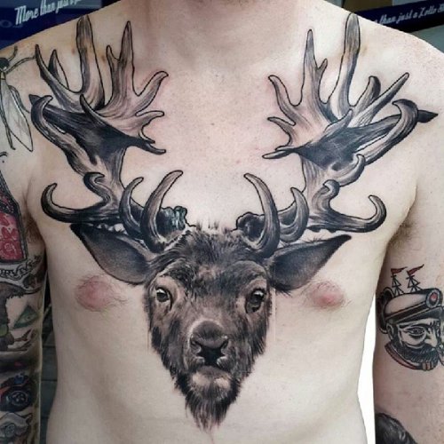 Grey Ink Deer Head Tattoo On Chest For Men