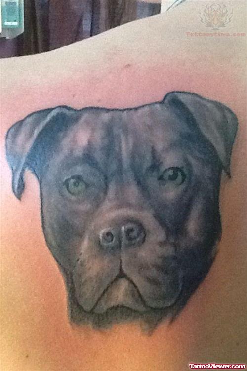 Green Eyes Dog Head Tattoo On Back SHoulder