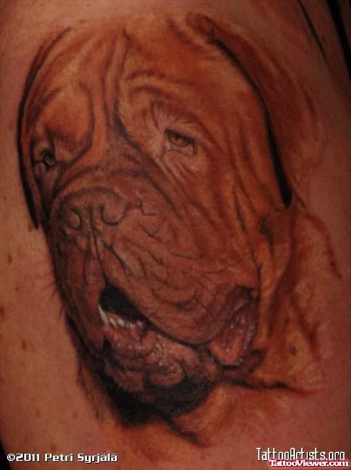 Old Dog Tattoo